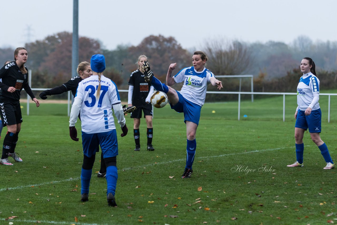 Bild 222 - Frauen SV Henstedt Ulzburg III - Bramstedter TS : Ergebnis: 1:0